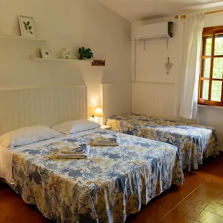 Cavalieri 4*
