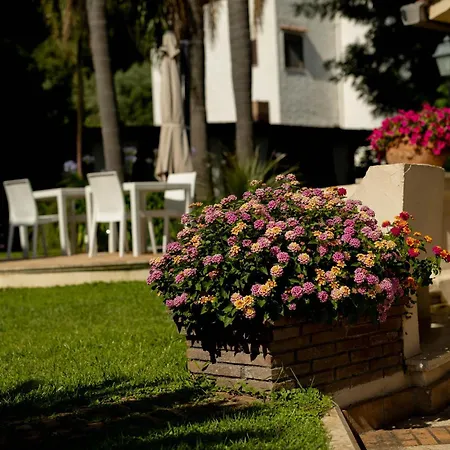 Cavalieri Отель типа 