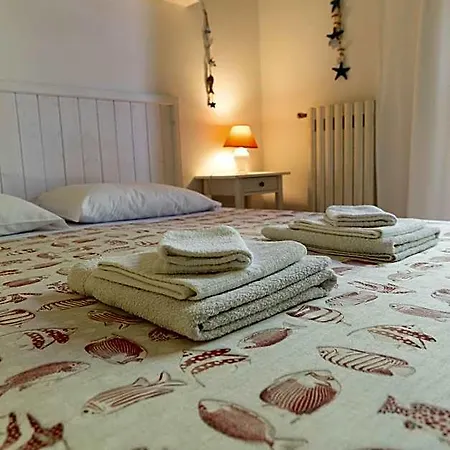 Cavalieri 4*