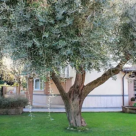 Cavalieri Bed & Breakfast 4*