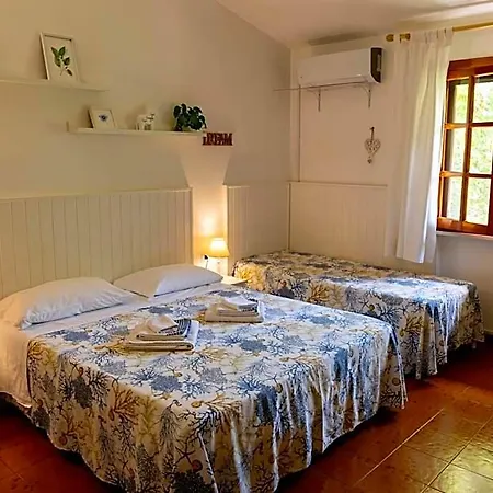 Bed & Breakfast Cavalieri 4*