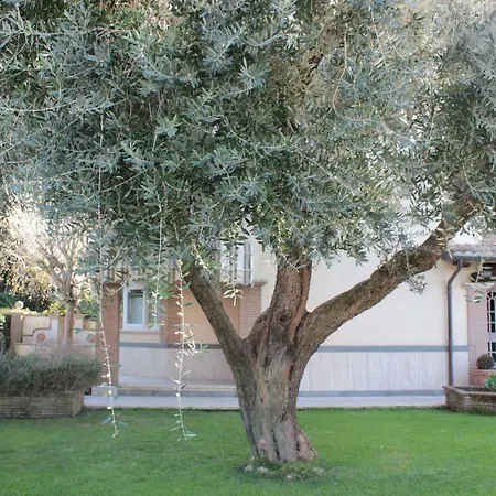 Bed and breakfast Cavalieri