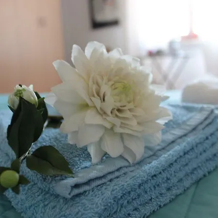 Cavalieri فندق مبيت وإفطار 4*