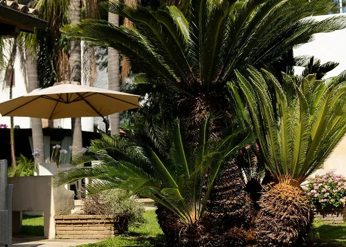 Bed & Breakfast Cavalieri San Felice Circeo