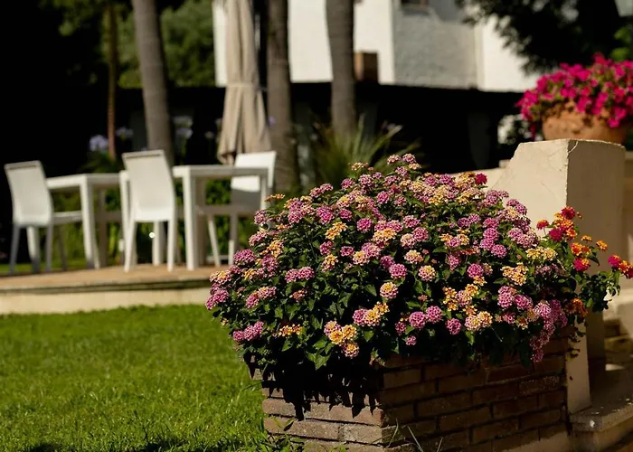 Cavalieri Bed & Breakfast San Felice Circeo