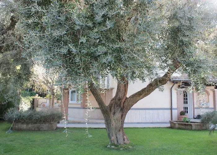 Bed & Breakfast Cavalieri